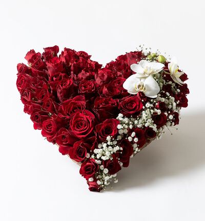 Nedbrytbart hjerte med røde roser og slør